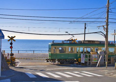 20 Best Things to Do in Kamakura for a Memorable Trip | LIVE JAPAN travel guide Tokyo Japan Travel Guide, Anime Vs Real Life, Anime Locations, Kamakura Japan, Yakushima, Japan Summer, Tokyo Japan Travel, Japan Guide, Japan Travel Guide