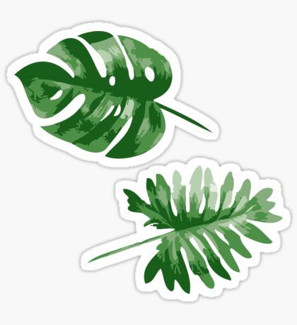 Monstera Sticker, Flamingo Stickers, Foto Transfer, Bubble Stickers, Green Sticker, Tumblr Stickers, Stickers Redbubble, Hydroflask Stickers, Seni Cat Air