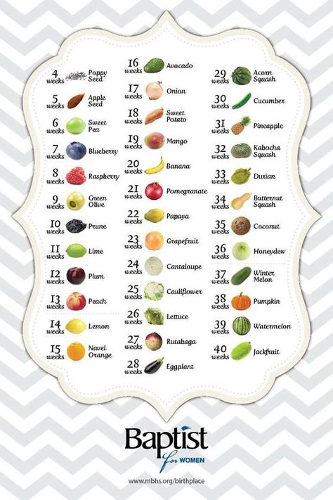 Baby size comparison Pregnancy Fruit, Baby Size By Week, Baby Timeline, Baby Development Chart, Baby Oyster, Stages Of Baby Development, 16 Weeks Pregnant, Baby Development Activities, Pinterest Baby