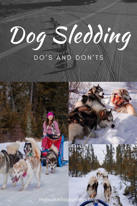 Dog sledding tips Sledding Outfit, Dog Sledding Outfit, Dog Sledding Aesthetic, Alaska Dog, Alaska Summer, Husky Sledding, Alaska Dog Sledding, Dog Sled, Explorers Club