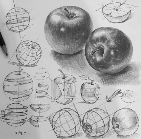 Product Drawing, Basic Sketching, Fruit Art Drawings, Structural Drawing, Realistic Sketch, Hair Illustration, Object Drawing, Drawing Studies, Perspective Art