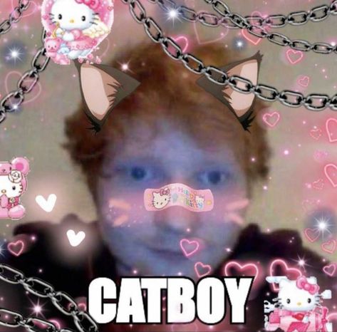 Ed Sheeran Memes, Ed Sheeran Love, Anime Kitten, Danny Devito, Facebook Humor, Cat Boys, Ed Sheeran, A Train, Funny Laugh