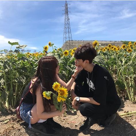 couple sunflowers Korea Couple, Funny Couple Poses, Parejas Goals Tumblr, Mode Teenager, Boy Korean, Funny Couple Pictures, Kore Ulzzang, Mode Ulzzang, Image Couple