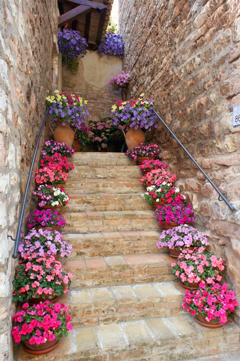 You don't have to be in Europe to "design" your steps....line each step to your church or venue entrance, and you will make a statement! Beautiful Stairways, Spello Italy, Tanaman Pot, Outdoor Steps, Flower Pots Outdoor, Outdoor Flowers, Stone Walls, Gardening Supplies, Flower Planters