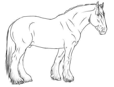 Horse lineart Horse Lineart, Horse Printable, Horse Outline, Animal Line Drawings, Horse Animation, Horse Art Drawing, Warmblood Horses, Art Pinterest, Horse Sketch