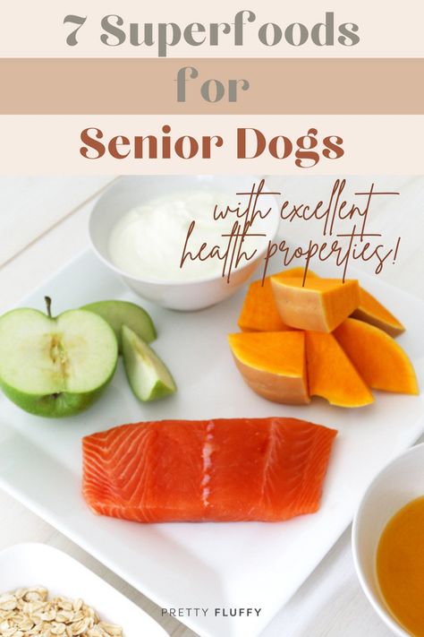 List Of Superfoods, Excellent Health, Super Foods List, Senior Dog Food Recipes, Dog Health Tips, Superfood Recipes, Raw Dog Food Recipes, Dog Diet, Healthy Dog Food Recipes