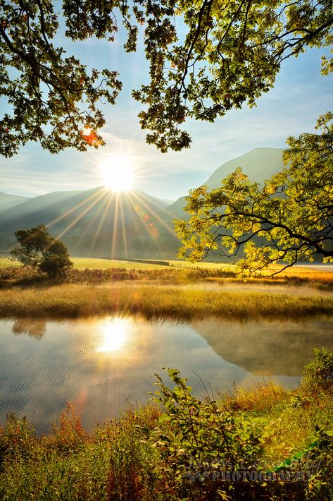 Nature, Tree Stump House, Stump House, Morning Aesthetic, Lake District National Park, Mountain Lakes, Woodland Friends, What Is Coming, The Lake District