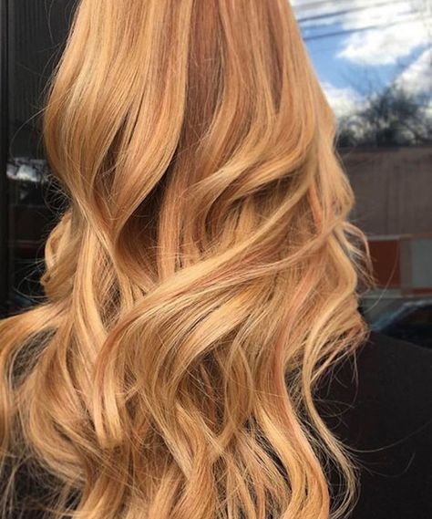 Mesmerizing Strawberry Blonde Hair Color Ideas to Warm Up Your Look Strawberry Blonde Hair Color Ideas, Copper Blonde Hair, Warm Blonde Hair, Red Blonde Hair, Strawberry Blonde Hair Color, Strawberry Hair, Copper Blonde, Ginger Hair Color, Vlasové Trendy