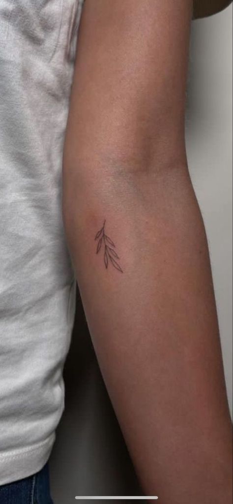 Tiny Tattoos Inner Arm, Olive Branch Shoulder Tattoos For Women, Tiny Tattoos Arm Women, Dainty Branch Tattoo, Tiny Earthy Tattoos, Inner Arm Small Tattoo, Earthy Fine Line Tattoo, Inner Tricep Tattoo Women, Dainty Leaves Tattoo