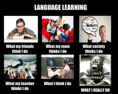 SO true or false? cursos@enidiomas.com http://ow.ly/i/2Ga9z Bilingual Humor, Language Humor, Applied Linguistics, Language Jokes, Learning Spanish For Kids, Thai Language, Spanish Learning, Spanish Memes, Speaking Skills