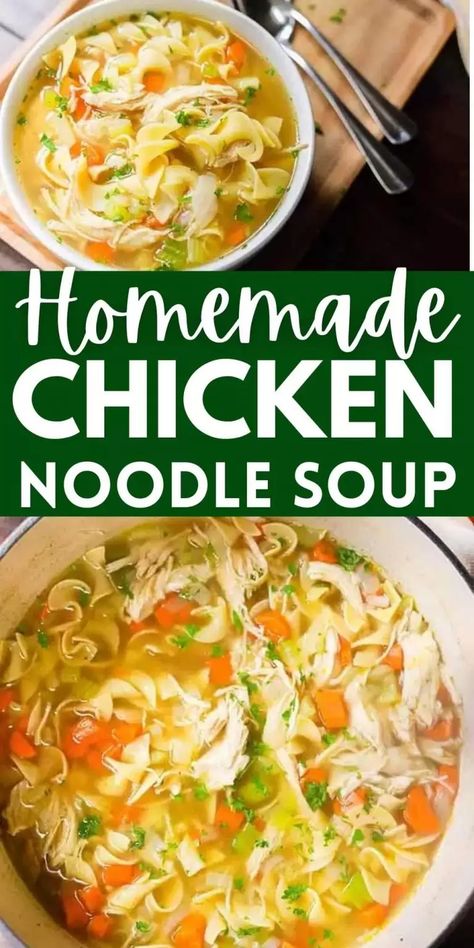 Homemade Chicken Pasta Soup, Blended Chicken Noodle Soup, Chicken Noodle Soup With Rotini Noodles, Summer Chicken Noodle Soup, Worlds Best Chicken Noodle Soup, Rachel Ray Chicken Noodle Soup, Homemade Campbells Chicken Noodle Soup, Chicken Noodle Soup With Leftover Chicken, Chicken Middle Soup