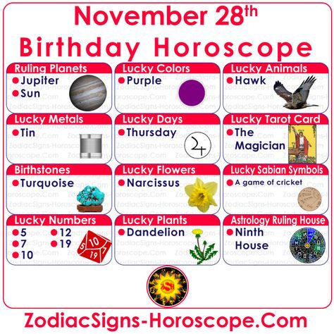 November 28 Zodiac – Accurate Birthday Personality Horoscope | ZSH 24 October Birthday, November Zodiac Sign, October Scorpio, December Zodiac Sign, Lucky Things, November Horoscope, December Horoscope, Astrology Dates, October Horoscope