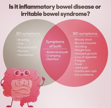 Irritable Bowel Syndrome vs Inflammatory Bowel Disease ✨✨✨ #fatigue #nervoussystem #chronicillness #chronicdisease #inflammation #guthealth #brainfog #bowels #chronicallyill #esclerosismultiple #brainfog #disease #ableism #chronicpain #pain #diarrhea #ibs #ibsdiet #ibd #guts Gut Brain Axis, Inflammatory Bowel Syndrome, Mucus In Stool, Ibd Symptoms, Irritable Bowel Disease, Ibs Diet, Intestinal Parasites, Inflammatory Bowel, Gut Brain