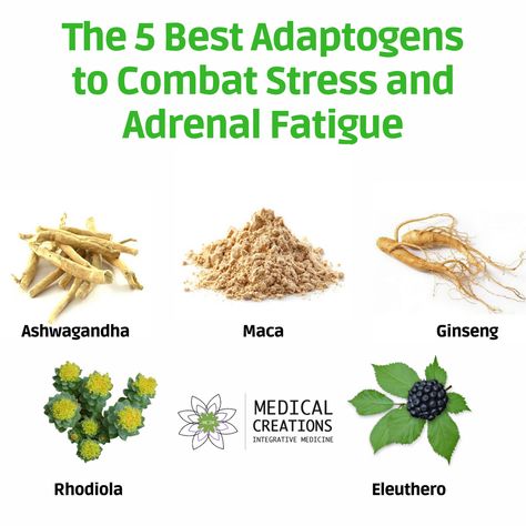 Herbs For Cortisol, Herbs For Adrenal Fatigue, Herbs For Fatigue, Cortisol Reduction Diet, Adaptogen Herbs, Hpa Axis Dysfunction, Cortisol Reduction, Symptoms Of Adrenal Fatigue, Siberian Ginseng