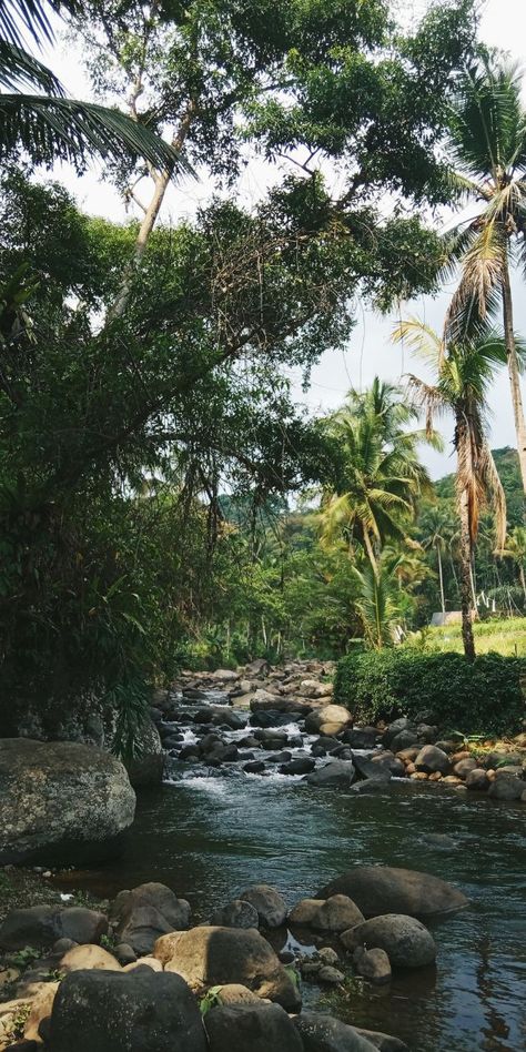 #wisataciamis#sungai#ciamis Sungai Aesthetic, Natural Image, Pool Poses, Cool Boy Image, Face Pictures, Avatar World, Editing Background, Alam Yang Indah, Beautiful Nature Scenes