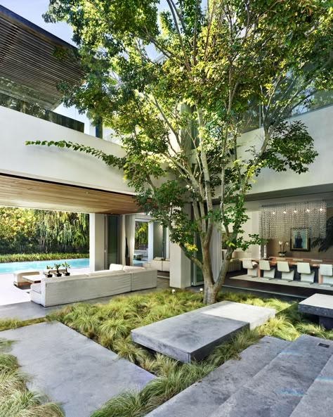 A large tree emphasizes the close connection between the house and its immediate surroundings Green Roof Design, Indoor Courtyard, Courtyard Landscaping, Modern Courtyard, Courtyard Gardens Design, Courtyard House Plans, Courtyard Design, Casa Country, Desain Lanskap