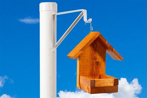 Diy Bird Feeder Pole, Pvc Bird Feeder, Make A Bird, Make A Bird Feeder, Bird Feeder Poles, Squirrel Proof Bird Feeders, Diy Bird Feeder, Diy Birds, Pvc Pipe