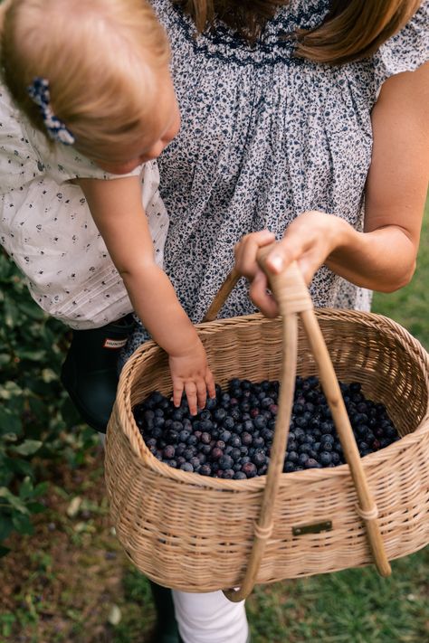 Blueberry Field Photoshoot, Blueberry Picking Photoshoot, Blueberry Picking Aesthetic, Blueberry Photoshoot, Doen Top, Blueberry Picking, Blueberry Farm, Berry Picking, Everlane Jeans