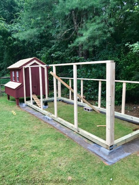 Small Chicken Run, Chicken Run Diy, Building A Chicken Run, Chicken Coop Plans Free, Goat Playground, Chicken Facts, Chicken Fence, Chicken Coop Pallets, Small Holding