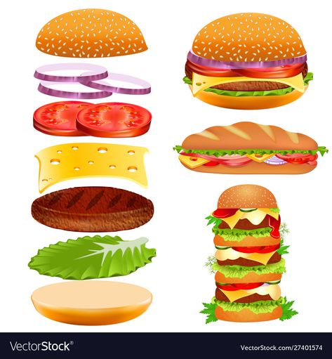 Burger Art Illustration, Burger Drawing Illustration, Burger Png Images, Pickle Onions, Burger Png, Burger Ingredients Illustration, Cloud Cardigan, Burger Ingredients, Masterchef Junior