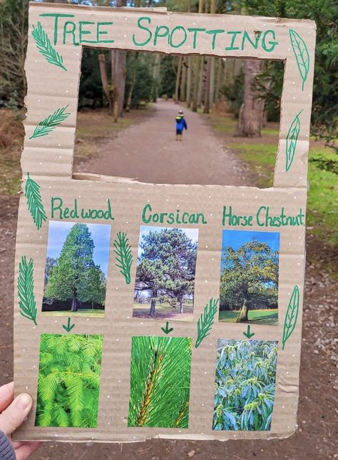 Nature School Projects, Forest Lesson Plan, Nature Classroom Activities, Forest School Ideas Outdoor Play, Nature In The Classroom, Forest School Crafts For Kids, Preschool Nature Art, Nature School Curriculum, Forest Kindergarten Activities