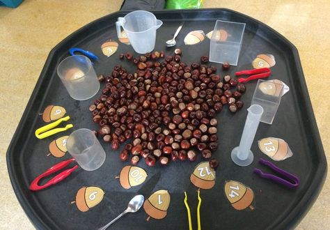 Autumn Term Eyfs, Conkers Tuff Tray, Autumnal Activities Eyfs, Conkers Activity Eyfs, Conker Tuff Tray Ideas, Outdoor Tuff Tray Ideas Eyfs Autumn, Autumn Investigation Area Eyfs, Autumn Maths Activities Eyfs, Autumn Provision Eyfs