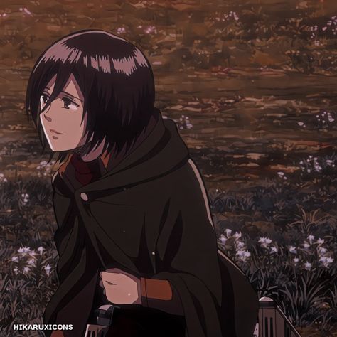 Eren Jaeger Mikasa, Attack On Titan Icons, Mikasa X Eren, Aot Anime, Best Friends Cartoon, Duos Icons, Eren X Mikasa, Friend Cartoon, Eren And Mikasa