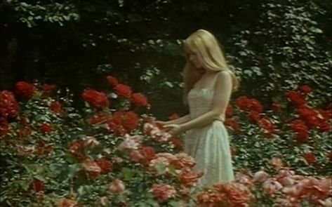 Imagem de flowers, vintage, and rose Vintage Americana, Princess Aesthetic, Jolie Photo, Red Aesthetic, Divine Feminine, Aesthetic Photo, Nickelodeon, Lana Del Rey, Aesthetic Pictures