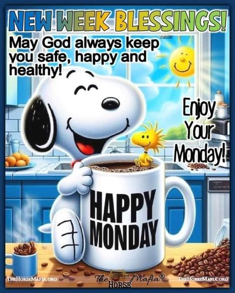 Chris Hall Happy Monday Images Funny, Snoopy Morning, Good Morning Family Quotes, Snoopy Good Morning, Morning Quotes Monday, Happy Monday Images, Funny Good Morning Messages, Good Morning Animals, Good Morning Monday Images