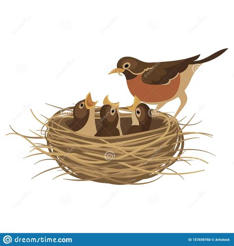 Cartoon Bird`s Nest With Chicks. Vector Illustration For Children. Springtime. Stock Vector - Illustration of game, character: 157659760 Bird In Nest Illustration, Birds In Nest Drawing, Bird Illustration Vector, Magpie Cartoon, Birds Nest Illustration, Birds Nest Drawing, Bird Nest Illustration, Bird Nest Drawing, Evs Project