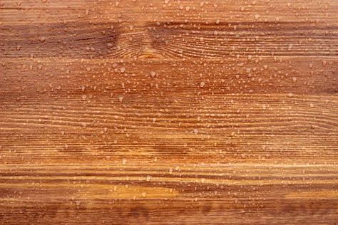 Which is Better: Staining or Painting Pressure Treated Wood? Indoor Paint, Oil Based Stain, Wooden Deck, Fence Slats, Staining Deck, Pressure Treated Wood, House Siding, Deck Boards, Deck Railings