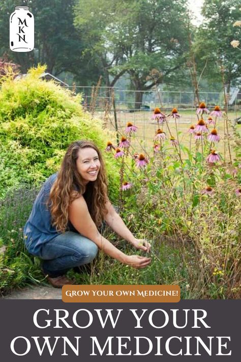 Fall Garden Prep, Garden Prep, Medicinal Herb Garden, Garden Prepping, Medicinal Herbs Garden, Spring Planting, Deer Resistant Plants, Herb Garden Design, Medicinal Herb