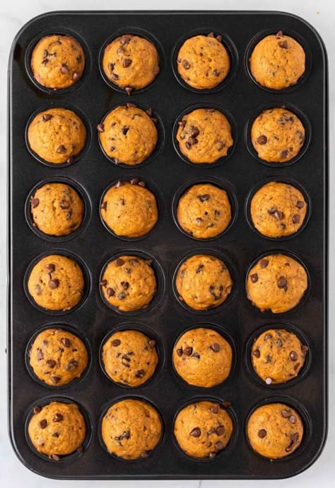 Mini Pumpkin Chocolate Chip Muffins - Build Your Bite Pumpkin Chocolate Chip Mini Muffins, Mini Pumpkin Chocolate Chip Muffins, Pumpkin Mini Muffins, Pumpkin Muffins With Chocolate Chips, Pumpkin Cake Mix Muffins, Pumpkin Cake Mix, Mini Pumpkin Muffins, Muffins With Chocolate Chips, Mini Blueberry Muffins