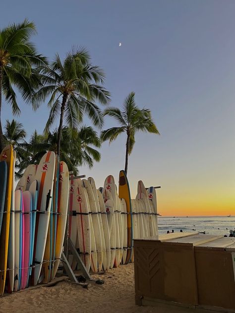 Summer View Aesthetic, Aesthetic Surfer Wallpaper, Hawaii Surfing Aesthetic, Hawaii Holiday Aesthetic, Beach Aesthetic Hawaii, Summer Aesthetic Hawaii, Vision Board Hawaii, Cute Hawaii Pictures, Hawai’i Aesthetic