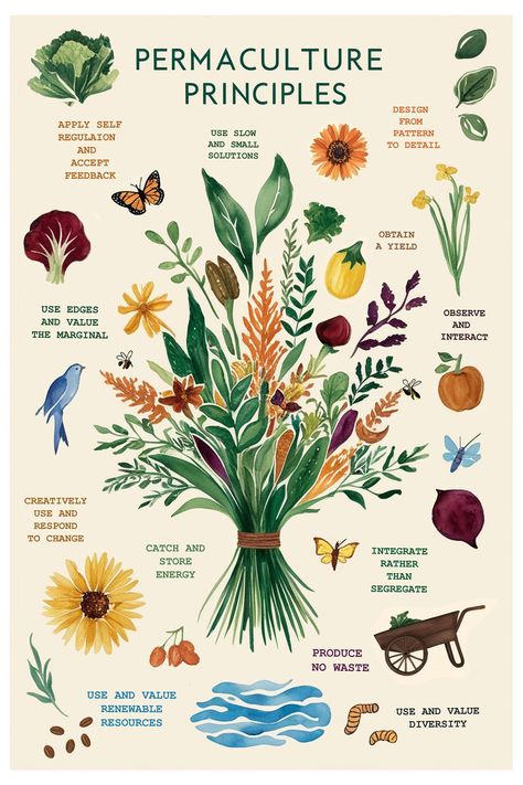 Permaculture Illustration, Permaculture Aesthetic, Permaculture Design Layout, Permaculture Guilds, Permaculture Garden Design, Wild Gardening, Permaculture Design Course, Illustrative Design, Permaculture Garden