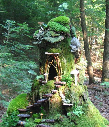 Moss Growing, Fairy Home, Fairy Garden Designs, Faeries Gardens, Fairy Tree, Moss Art, Gnome House, Fairy Garden Houses, Fairy Doors