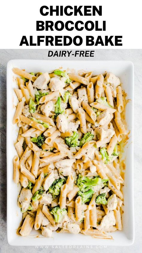 Quick Chicken Pasta Recipes, Chicken Broccoli Alfredo Bake, Chicken Broccoli Pasta Casserole, Broccoli Alfredo Bake, Gluten Free Pasta Dinner, Chicken Recipes Dairy Free, Gluten Free Pasta Dishes, Dairy Free Pasta Recipes, Chicken Pasta Casserole