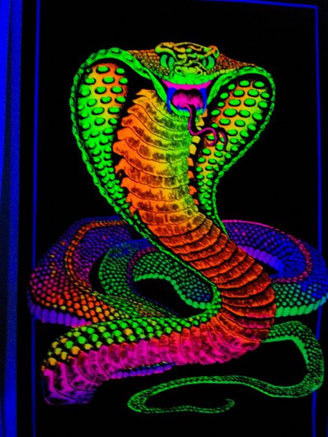 cobra | Flickr - Photo Sharing! Blacklight Posters, Cobra Art, Black Light Posters, Sticker Printing, Embroidery Wall Art, Uv Black Light, Stickers Design, Snake Art, King Cobra