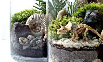 14 Ideas If Your Kid Really Loves Dinosaurs Dinosaur Garden, Dinosaur Fossil, Mini Terrarium, Garden Terrarium, Terraria, Terrarium Plants, Dinosaur Birthday Party, Cactus Y Suculentas, Dinosaur Party