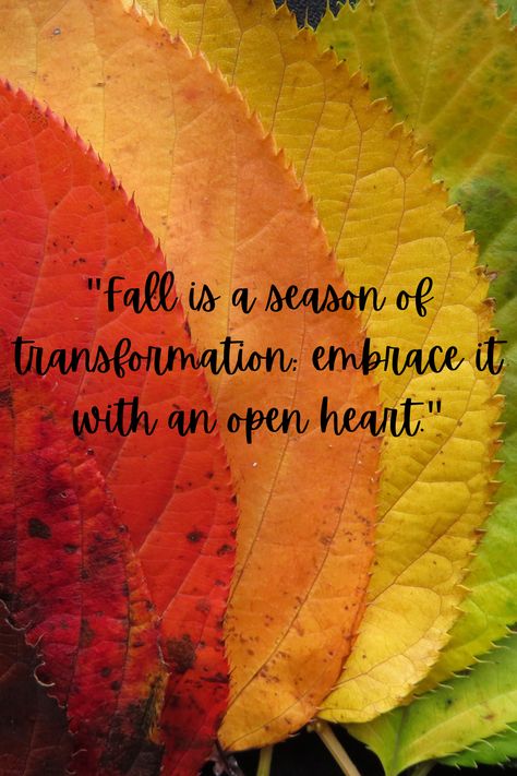 Hello Autumn Quotes, Falling Leaves Quotes, Autumn Sayings, Autumn Quotes Inspirational, Book Owl, Apple Bites, October Quotes, Fall Planner, Fall Quotes