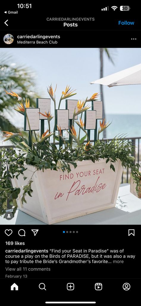 Birds Of Paradise Wedding Decor, Bird Of Paradise Wedding Decor, End Of Aisle Wedding Decor, Birds Of Paradise Wedding, Bird Of Paradise Wedding, Ideas Bodas, Tropical Wedding Decor, Paradise Wedding, Bridal Shower Planning