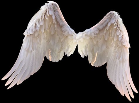 #Samanyu🔥 Angel Wings From The Back, Angel Wings From Behind, Fake Angel Wings, Angel Wing Reference, Wings Png For Editing, Angel Wings Realistic, Wings On People, Angel Wings Reference, Angel Wing Aesthetic