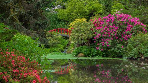 Moon Bridge, Asian Pacific American Heritage Month, 50 States Travel, Shanghai Disney Resort, Garden Images, Public Garden, Heritage Month, Seattle Washington, American Heritage