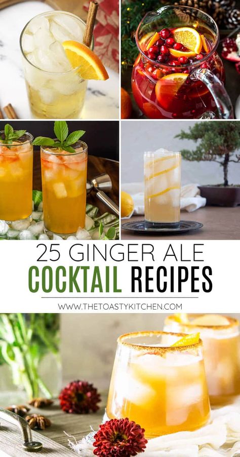 Alcoholic Drinks With Ginger Ale, Ginger Ale Mixed Drinks, Men Drinks, Ginger Cocktail Recipes, Whiskey And Ginger Ale, Ginger Ale Drinks, Ginger Beer Drinks, Ginger Ale Cocktail, Cranberry Ginger Ale