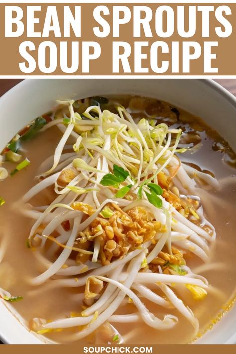 Bean Sprouts Soup Recipe Bean Sprouts And Cabbage, Soup With Bean Sprouts, Bean Sprouts Soup, Bean Sprout Soup, Sprout Soup, Bean Sprout Recipes, Asian Treats, Bean Sprout, Chef Club