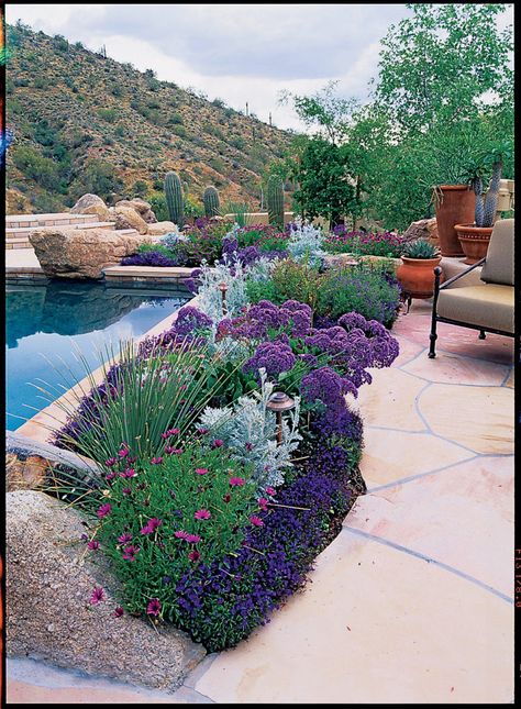 Pool garden border  Borders don't have to be large or complex to have visual impact; just four or five well-chosen plants can work wonders.Here, a border of purple African daisies, lobelia, sea lavender, and silvery dusty Miller hugs a pool in Scottsdale, AZ. Pool Sidewalk Ideas, Flower Beds By Pool, Flower Bed Around Pool, Pool Border Landscaping, Pool Flower Beds, Texas Pool Landscaping Backyards, Flower Beds Around Pool, Dusty Miller Landscape, In Ground Pool Landscaping