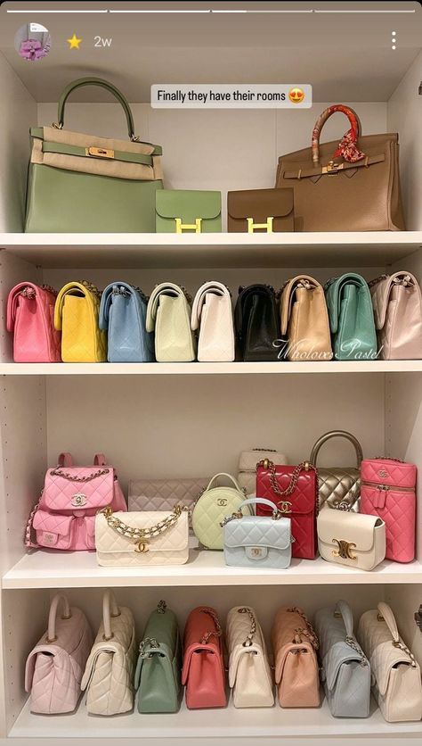 Chanel Closet Aesthetic, Handbag Wall Display, Designer Bag Closet, Luxury Bag Closet, Bag Collection Closet, Closet For Bags, Purse Closet, Bag Shelf, Purse Display