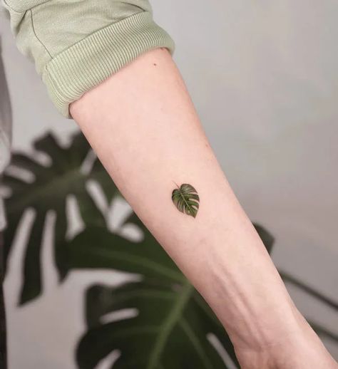 Monstera Tattoos, Plant Lover Tattoo, Monstera Deliciosa Tattoo, Monstera Plant Tattoo, Monstera Tattoo, Special Tattoos, Stylish Tattoo, Plant Tattoo, Botanical Tattoo