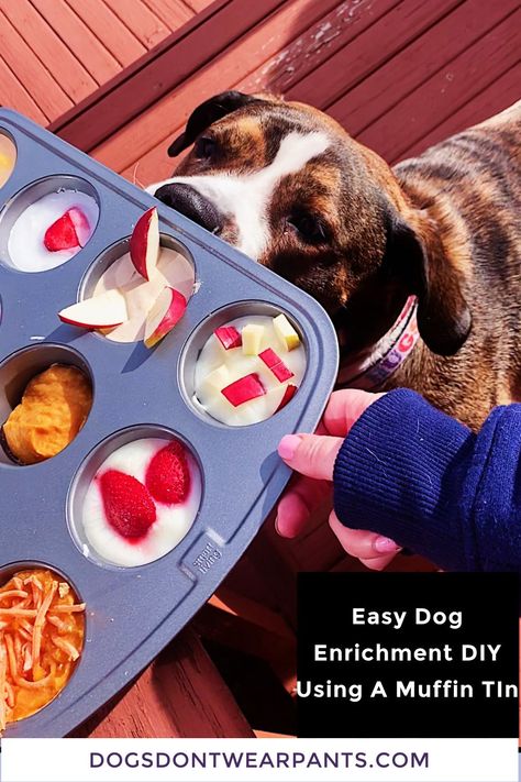 Have a bored pup? Try this quick and easy dog enrichment toy! It's sure to entertain your dog and keep their mind sharp! Dog Busy Toys, Diy Dog Enrichment, Dog Boredom Buster, Dog Boredom, Dog Lifestyle, Dog Entertainment, Bowl Ideas, Dog Minding, Bored Dog