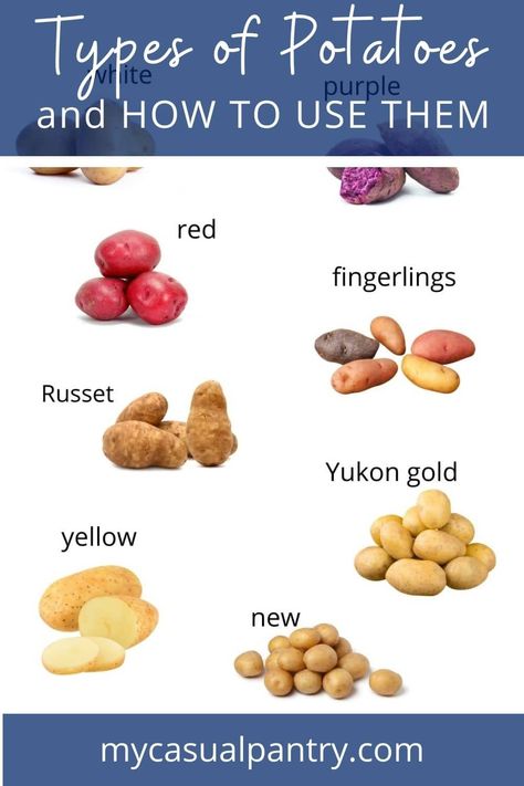 images of assorted varieties of potatoes. Different Potatoes Types, Types Of Potatoes For Cooking, Different Kinds Of Potatoes, Potato Types, Loaded Baked Potato Casserole, Roasted Garlic Aioli, Potato Varieties, Roasted Fingerling Potatoes, Fluffy Mashed Potatoes